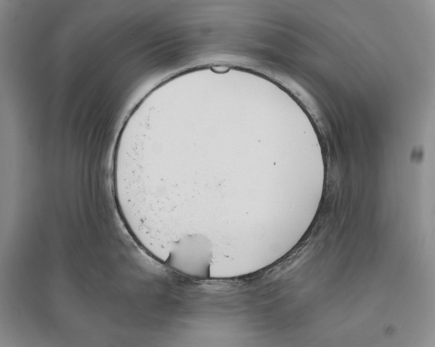 X0000096181199200802151434