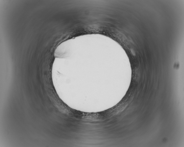 X0000096181201200802151433