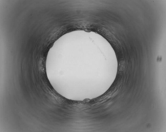X0000096181202200802151433