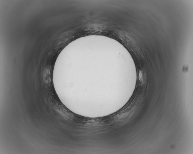 X0000096181203200802151433