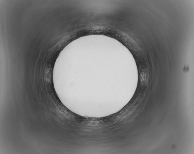 X0000096181204200802151433
