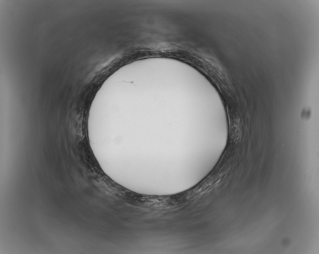X0000096181205200802151433