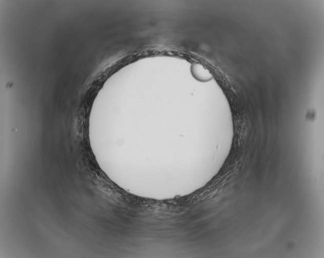 X0000096181207200802151433