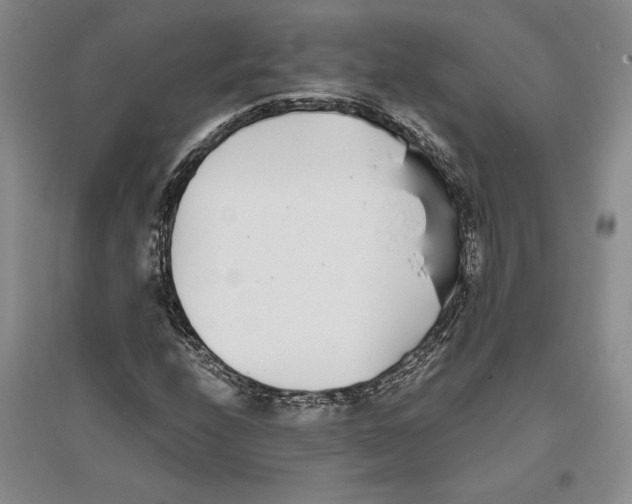 X0000096181208200802151433