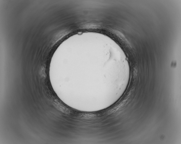 X0000096181209200802151433