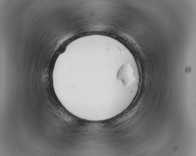 X0000096181210200802151433