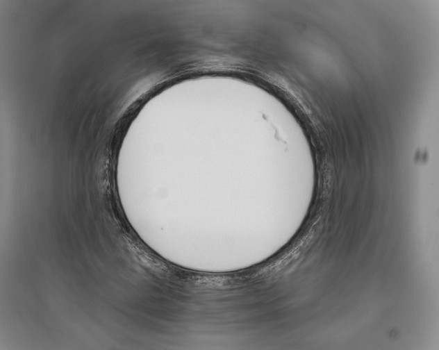 X0000096181211200802151433