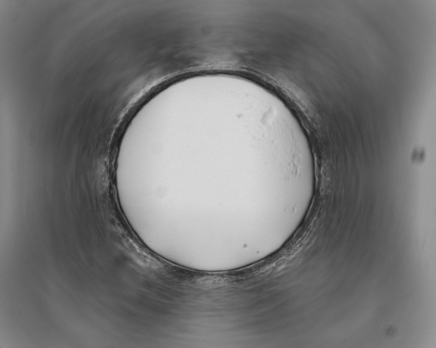X0000096181212200802151433