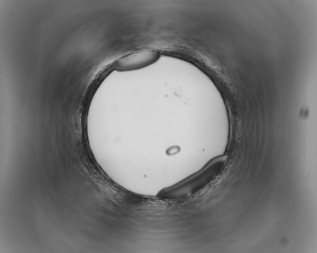 X0000096181214200802151434