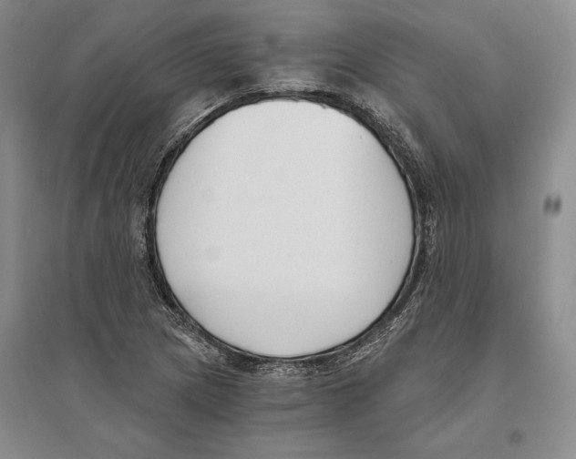 X0000096181217200802151434