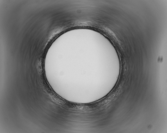 X0000096181218200802151434