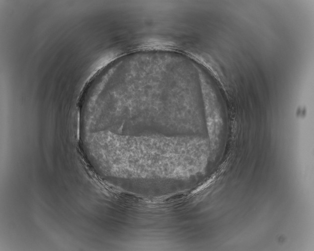 X0000096181219200802151434