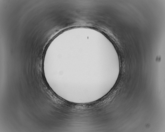 X0000096181220200802151434