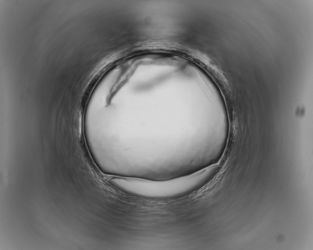 X0000096181221200802151434