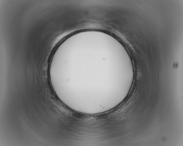 X0000096181222200802151434