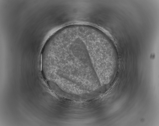 X0000096181223200802151434