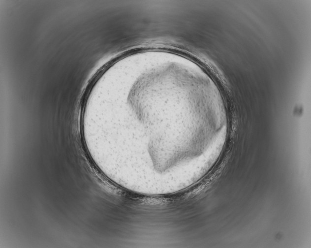 X0000096181224200802151434