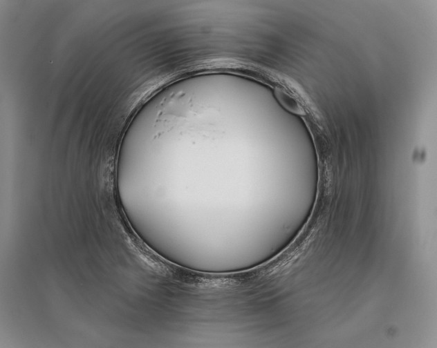 X0000096181225200802151434