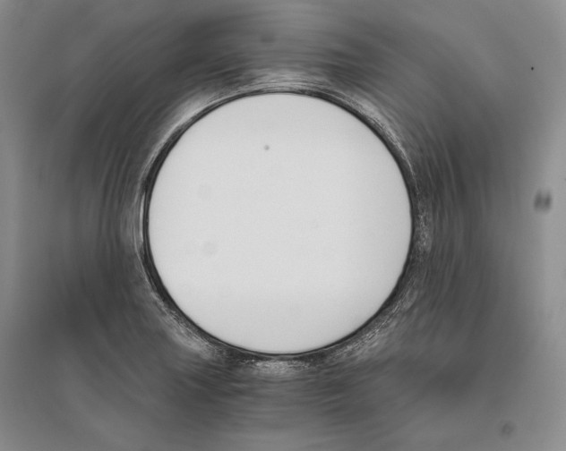 X0000096181227200802151434