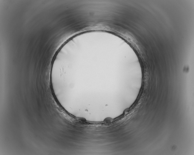 X0000096181228200802151434