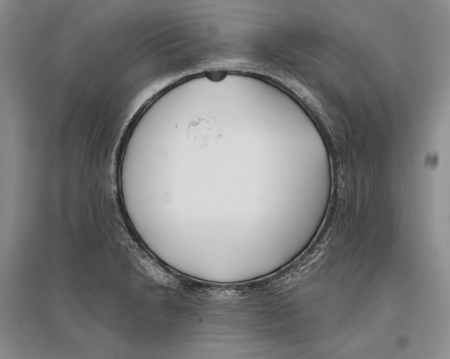 X0000096181230200802151434