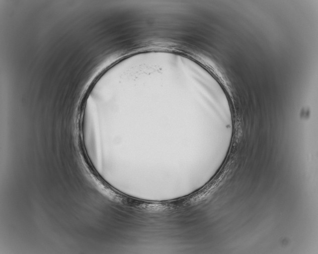 X0000096181235200802151434