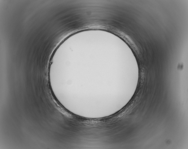 X0000096181236200802151434