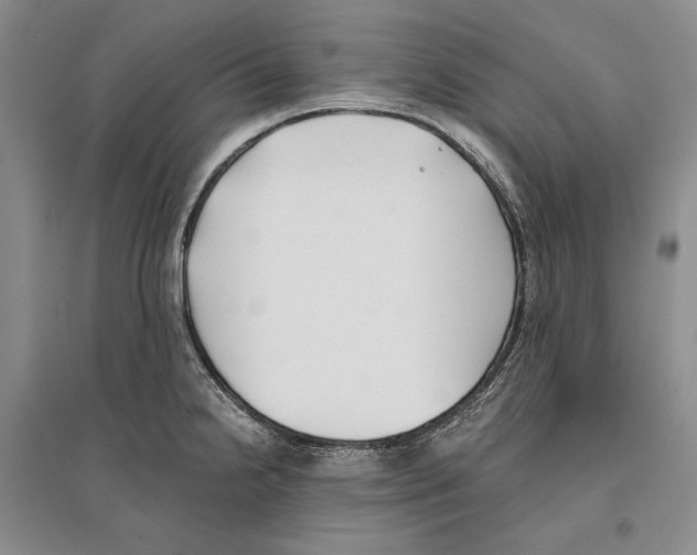 X0000096181238200802151434