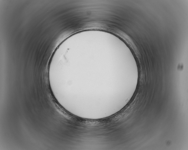 X0000096181242200802151434
