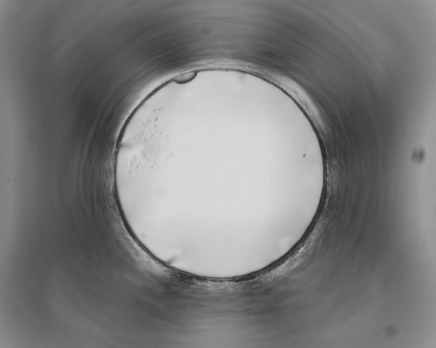 X0000096181244200802151434