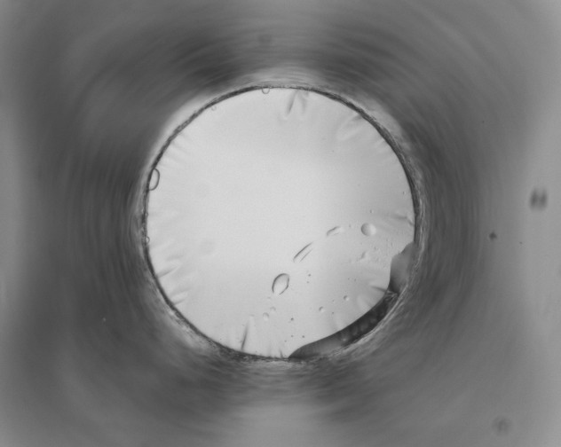 X0000096181248200802151434