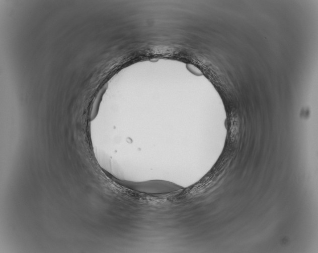 X0000096181249200802151433