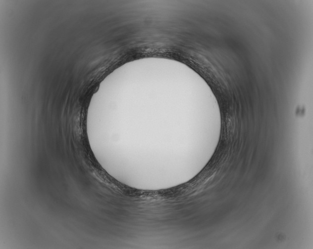 X0000096181250200802151433