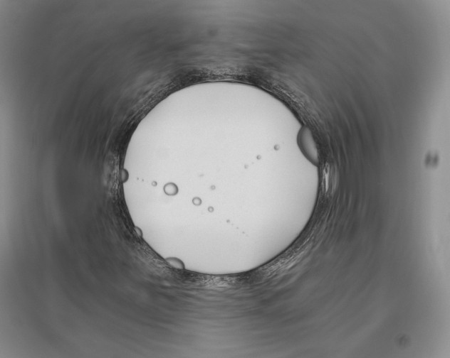 X0000096181251200802151433