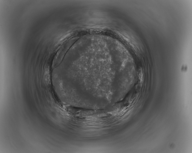 X0000096181252200802151433
