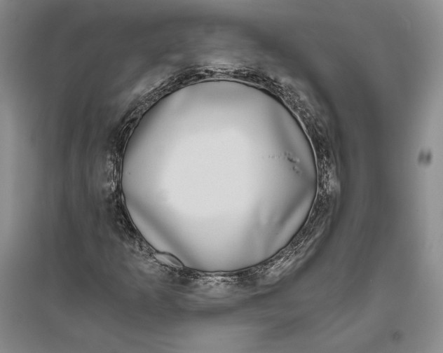 X0000096181253200802151433