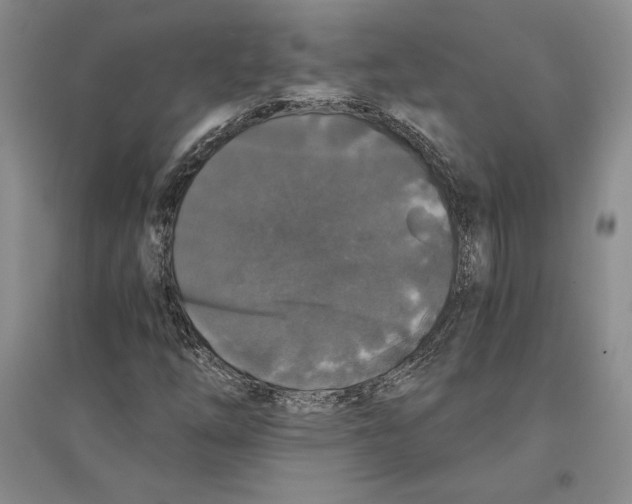 X0000096181254200802151433