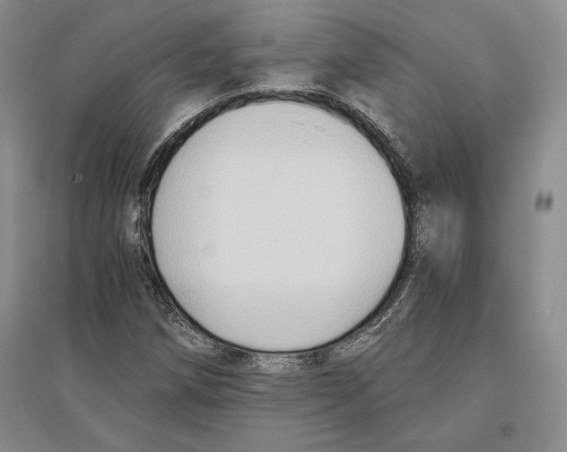 X0000096181258200802151433