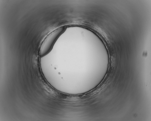 X0000096181260200802151433
