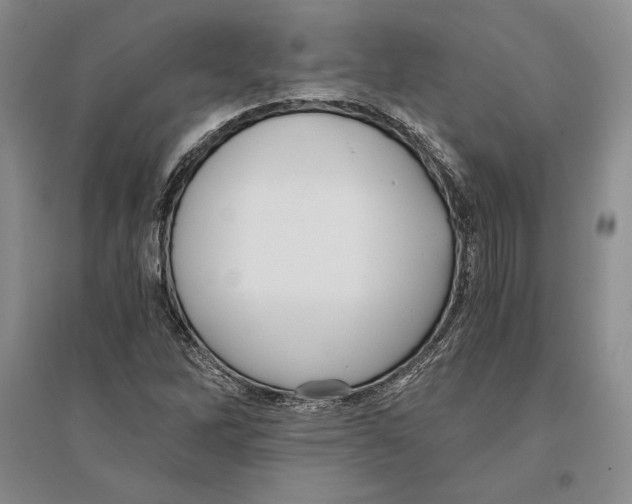 X0000096181262200802151433