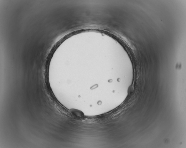X0000096181264200802151433