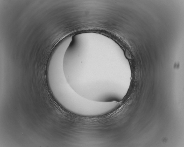 X0000096181265200802151433