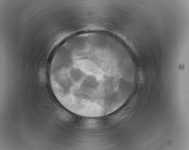 X0000096181266200802151433