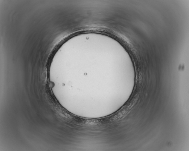 X0000096181267200802151433