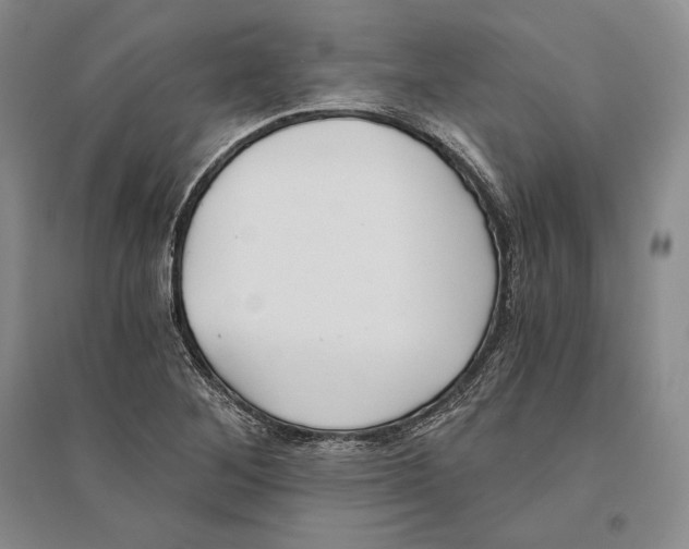 X0000096181268200802151433