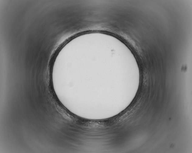 X0000096181270200802151433