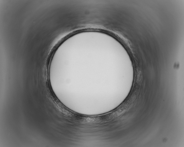 X0000096181271200802151433