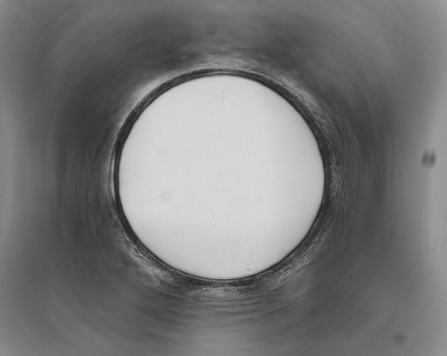 X0000096181272200802151433