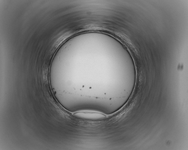 X0000096181273200802151433