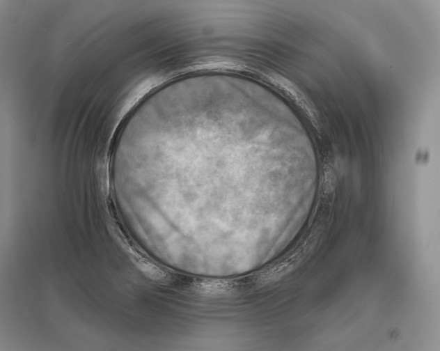 X0000096181274200802151433